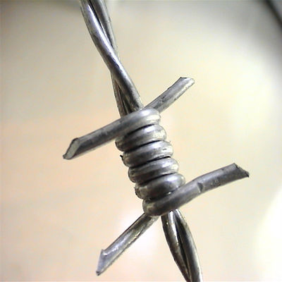 Fil barbelé en acier inoxydable anticorrosion pour clôture de sécurité routière